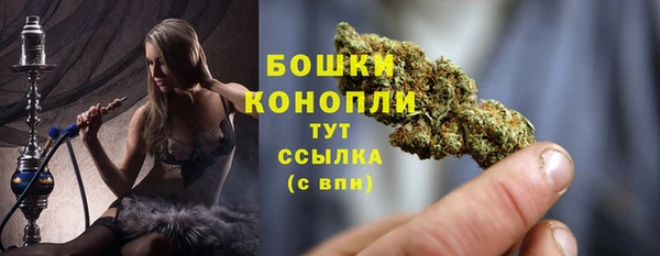 дживик Богородск