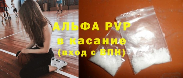 прущие грибы Белокуриха