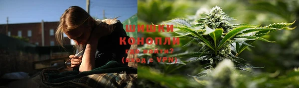 прущие грибы Белокуриха