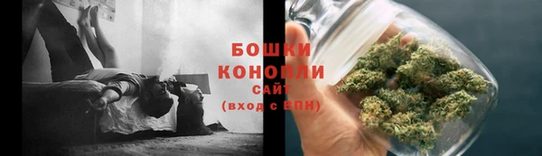 дживик Богородск