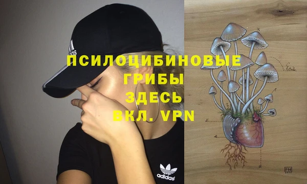кокаин Богданович