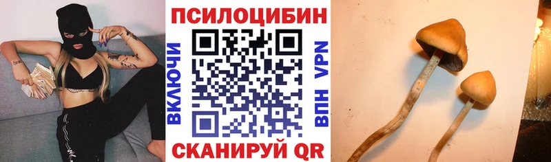 hydra   Маркс  Галлюциногенные грибы Cubensis 